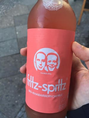 Fritz-Spritz Ruibarbo en Bodecall