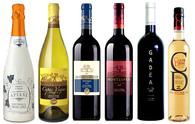 Bodega Tierras de Mollina en Bodecall