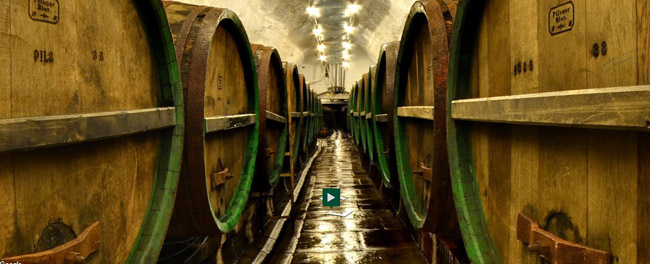 Fábrica de cerveza Pilsner Urquell - barriles