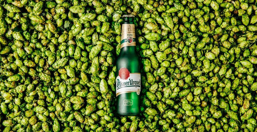 Cerveza Lager checa Pilsner Urquell