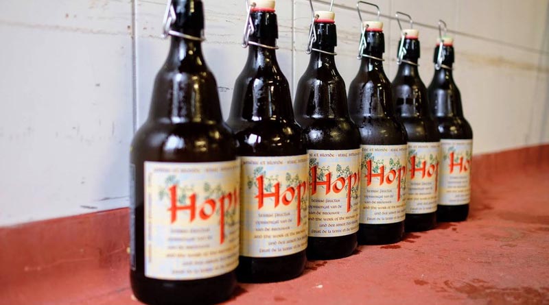 Cerveza belga Hopus