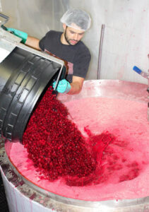 Fabricación de cerveza lámbica Lindemans