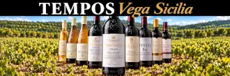 Nuevas añadas y ediciones de TEMPOS Vega Sicilia, ya disponibles en Bodecall