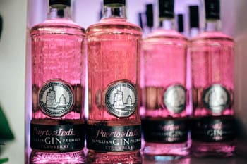 Premium-Gin Puerto de Indias in Bodecall