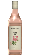 ODK Sirope Rose Rosa