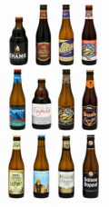 Pack Belgian Beer Experience 12 botellas